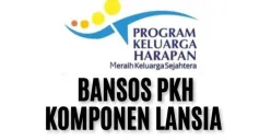 Lansia merupakan komoponen yang masuk prioritas dapatkan Bansos PKH. Pastikan sudah memenuhi syarat dan kriterianya. (Sumber: Kemensos/Edited Dadan Triatna)