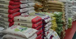 Program ini akan mendistribusikan total 60 kg beras per keluarga penerima manfaat (KPM), yang dikemas dalam 6 karung berukuran 10 kg. (Sumber: Pinterest)