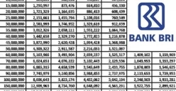 Syarat pengajuan oinjaman Non KUR BRI 2025 siapkan dokumen KTP dan KK (Sumber: Pinterest)