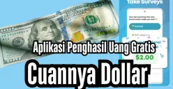 Beberapa aplikasi bisa menghasilkan cuan dollar. (Sumber: Unsplash/Live Richer/Edited Dadan Triatna)