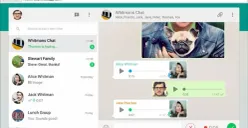 Solusi Mudah Mematikan Auto Download di WhatsApp Desktop untuk Pengguna Hemat Ruang (Sumber: Pinterest/Lau_ /)