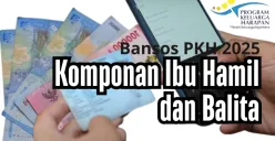 Cara Mudah Daftar Bansos PKH untuk Ibu Hamil 2025. (Sumber: Kemensos/Edited Dadan Triatna)