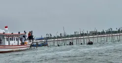 TNI AL dan para nelayan kembali membongkar pagar laut misterius di Tangerang, Rabu, 22 Januari 2025. Ditargetkan pembongkaran sepanjang lima kilometer. (Sumber: Poskota/Veronica Prasetio)