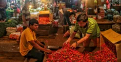 Sejumlah pedagang saat menata Cabai di Pasar Induk Kramat Jati, Jakarta Timur, Kamis, 26 Desember 2024. (Sumber: Poskota/Ahmad Tri Hawaari)