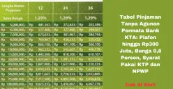 Tabel pinjaman hingga Rp 300.000.000 dengan bunga kompetitif mulai dari 0,88% per bulan. (Sumber: Poskota/Yusuf Sidiq)