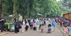 Suasana pengunjung Taman Margasatwa Ragunan di Pasar Minggu, Jakarta Selatan, pada momen libur Isra Miraj, Senin, 27 Januari 2025. (Sumber: Poskota/ Angga Pahlevi)