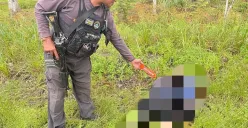 Petugas Tim Cartenz lakukan identifikasi di TKP pegawai honorer tewas ditikam oleh anggota KKB, Sabtu 5 Juli 2025. (Sumber: Satgas Damai Cartenz)
