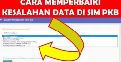 Panik Karena SIMPKB Kembali ke Mode Awal Setelah PPG 2025? Begini Cara Mengatasinya (Sumber: Pinterest)