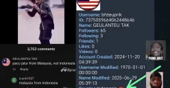 Klaim Malaysia Atas Pacu Jalur Didalangi Akun-Akun Buatan Indonesia (Sumber: Tiktok/@siprandi)