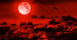 Apakah Bulan Merah Juli 2025 Berbahaya? Ini Penjelasan Pakar Astronomi yang Perlu Anda Ketahui (Sumber: Pinterest)