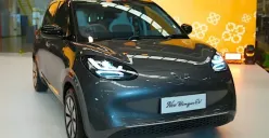 Wuling New BinguoEV (Sumber: Wuling)
