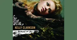 Lirik Lagu Because of You dari Kelly Clarkson (Sumber: Spotify/Because of You/Edited Muhammad Ibrahim)