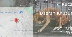 Seekor anjing liar diamankan petugas pemadam kebakaran karena meresahkan warga Jalan Prepedan Dalam RT 10 RW 09, Kamal, Kalideres, Jakarta Barat. (Sumber: Damkar)