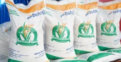 Program bantuan pangan beras 20 kg dari pemerintah, cek wilayah yang sudah mendapat penyaluran. (Sumber: badanpangan.go.id)