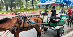 Yadi kusir delman yang setia mangkal di Kawasan Monas, Jakarta Pusat, Sabtu, 19 Juli 2025. (Sumber: Poskota/M. Tegar Jihad)