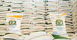 Bantuan pangan beras 20 kg, begini cara mengambilnya. (Sumber: badanpangan.go.id)