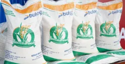 Bantuan pangan beras 20 kg. (Sumber: badanpangan.go.id)