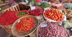 Harga bahan pokok di pasar tradisional Kota Bogor pada Kamis, 24 Juli 2025, stabil, kecuali bawang merah yang mengalami kenaikan sejak beberapa hari terakhir. (Sumber: POSKOTA | Foto: Sekar Putri Andini)