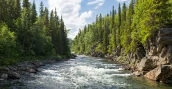 27 Juli Memperingati Hari Apa? Ada Hari Sungai Nasional (Sumber: Unsplash/Jon Flobrant)