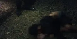 Pengendara motor tertabrak KRL di perlintasan kereta tanpa palang di Kelurahan Pondok Cina, Kecamatan Beji, Kota Depok, Sabtu malam, 26 Juli 2025. (Sumber: POSKOTA | Foto: Angga Pahlevi)