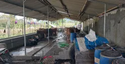 Salah satu peternakan sapi di wilayah Lembang, Bandung Barat. (Sumber: Poskota/Gatot Poedji Utomo)