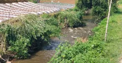 Kondisi air sungai di aliran sungai Lembang yang mengalir ke wilayah Kota Bandung. (Sumber: Poskota/Gatot Poedji Utomo)