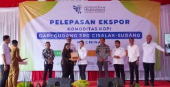 Kopi dari Subang yang diekspor ke Tiongkok milik petani yang disimpan pada gudang milik KPGLB hasil binaan pemerintah daerah dan bank bjb. (Sumber: Dok. bank bjb)
