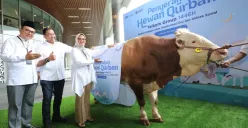 Direktur Utama Telkom Dian Siswarini menyerahkan hewan kurban pada acara Kegiatan seremonial penyerahan hewan kurban (Sumber: Dok. Telkom)