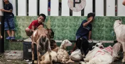 Suasana penyembelihan hewan kurban saat Idul Adha, momen berbagi yang menjadi tradisi umat Islam setiap 10 Zulhijah. (Sumber: Poskota/Bilal Nugraha Ginanjar)