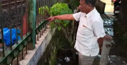 Kanit Reskrim Polsek Bojonggede AKP Teguh saat mengecek TKP temuan mayat laki-laki tanpa identitas di perlintasan rel tanpa palang di Bojonggede, Kabupaten Bogor. Angga (Sumber: POSKOTA | Foto: Angga)