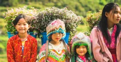 Hari Persatuan Ras Diperingati 9 Juni, Berikut Sejarah dan Tujuannya (Sumber: Unsplash/Tien Vu Ngoc)