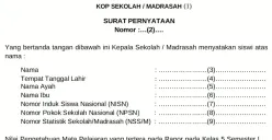 Ilustrasi lembar biodata dalam pendaftaran PPDB 2025. (Sumber: Istimewa)