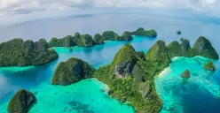 4 Izin Tambang Nikel Dicabut di Raja Ampat, Siapa Sebenarnya Pemilik PT Nurham? (Sumber: Pinterest)