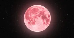 Cuma Terjadi Setahun Sekali! Strawberry Moon 2025 Hadir di Langit Nusantara Malam Ini (Sumber: Pinterest)