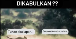 Seekor cheetah dan gazelle di padang savana, dua makhluk berbeda dengan doa yang sama tulusnya (Sumber: Instagram/@hypn0holic)