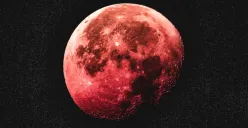 Fenomena Strawberry Moon memiliki energi tersembunyi yang berdampak pada Manusia (Sumber: Pinterest/Wicked Obscura)