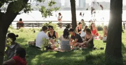 18 Juni Memperingati Hari Apa? Ada Hari Piknik Internasional (Sumber: Unsplash/Mason Dahl)