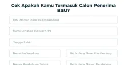 Bantuan Subsidi Upah (BSU) 2025. (Sumber: bsu.bpjsketenagakerjaan.go.id)