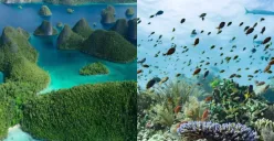 Ilustrasi ancaman serius akibat tambang di pulau-pulau kecil. (Sumber: UGM)