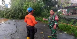 BPBD Kota Bekasi bersama membereskan empat pohon tumbang di Kecamatan Rawalumbu, Kabupaten Bekasi pada Minggu, 29 Juni 2025. (Sumber: Humas BPBD kota Bekasi)