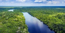 Hutan Amazon dapat rating buruk dari netizen Indonesia imbas gunung Rinjani yang diberi bintang satu oleh netizen Brasil. (Sumber: Google Maps/Joy Prakash Das)