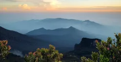 Ilustrasi, Taman Nasional Gunung Gede Pangrango yang berada di wilayah Kabupaten Bogor dan Cianjur. (Sumber: Unsplash | Foto: Alvian Hasby)