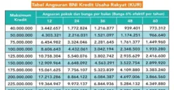 Dengan suku bunga rendah, tenor fleksibel, serta proses pengajuan yang relatif mudah, KUR BNI 2025 menawarkan kemudahan bagi masyarakat dalam memperoleh pinjaman hingga Rp50 juta. (Sumber: Poskota/Dadan Triatna)