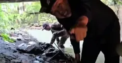 Gubernur Jawa Barat, Dedi Mulyadi, kembali turun langsung membersihkan sungai dan menemukan pecahan mangkok di bawah jembatan. Berjanji akan menggaji petugas khusus urusi sampah. (Sumber: Instagram Dedi Mulyadi)