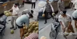 Viral petugas Satpol PP Samarinda ambil sejumlah kelapa milik pedagang saat menertibkan jalan trotoar. (Sumber: Tangkap Layar Instagram/@pembasmi.kehaluan.reall)