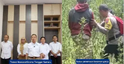 Pihak TNBTS mengklarifikasi informasi terkait dengan ladang ganja di Gunung Semeru. (Sumber: Instagram/@bbtnbromotenggersemeru)