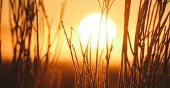 Hari Surya Sedunia Diperingati 3 Mei, Ini Sejarah dan Cara Merayakannya (Sumber: Unsplash/Jeremy Bishop)
