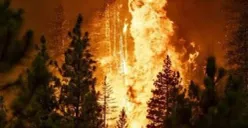 Kronologi dan dampak kebakaran hutan besar yang terjadi di sekitar jalan utama Yerusalem-Tel Aviv, Israel, pada akhir April 2025. (Sumber: Pinterest)