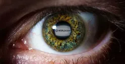 Cara mendapatkan Worldcoin gratis (Sumber: Pinterst/Beardy Nerd)