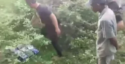 Viral, Seorang Kakek Simpan Narkoba Jenis Sabu Sebanyak 57 Kg di Semak-semak. (Sumber: Tangkap layar Instagram/@medsosmedan.id)